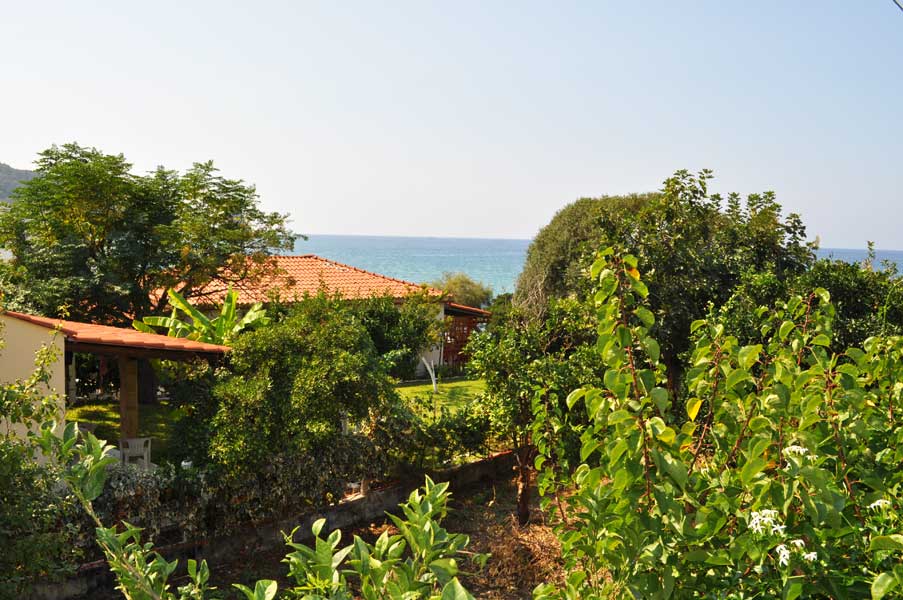 Corfu holiday Apartment Marie - Terrace